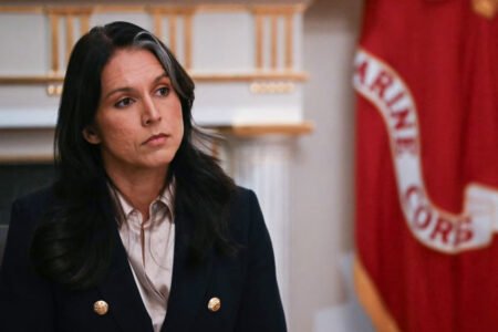 Tulsi Gabbard Inserts Herself Into 2020 Election Fraud Probe, Reigniting Political Debate