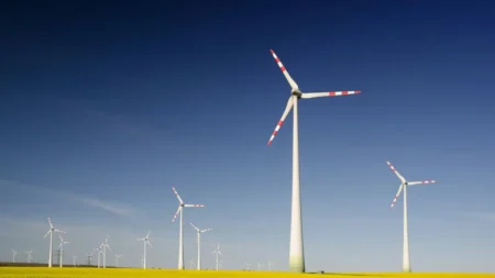 Minnesota Wind Turbine Funded by Obama-Era Green Energy Program Fined After Bald Eagle Killed in Gruesome Incident