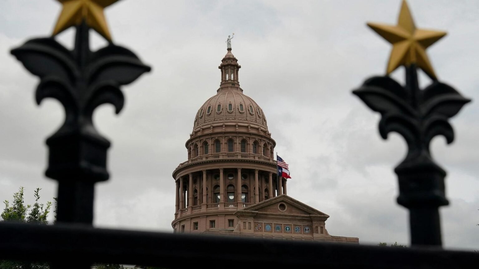 Democrats Flip Texas State Senate Seat in Stunning Upset, Shaking GOP Stronghold